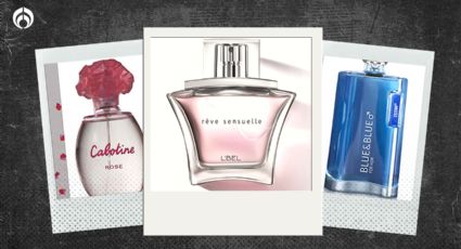 5 perfumes europeos ¡por menos de 500 pesitos! recomendados por expertos