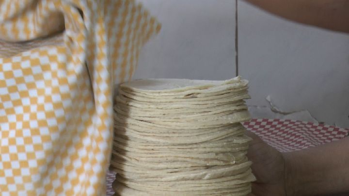 Baja California Sur se sumaría junto a otros 2 estados a tener la tortilla más cara del país