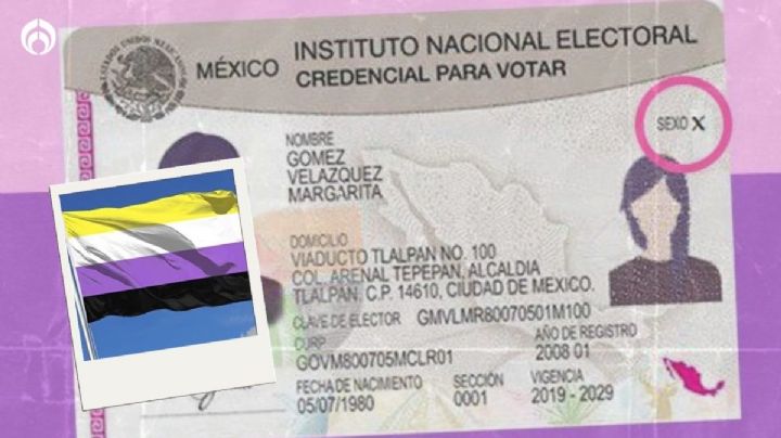 ¡Se logró! INE reconocerá a personas no binarias en credencial para votar