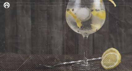 ¿Qué es un gin y cómo se toma?