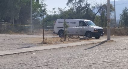 Mueren asfixiados 2 personas en Buenavista; fueron cubiertos con ramas para pasar desapercibidos