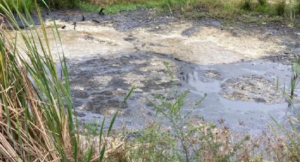 Derrame de crudo en Tamaulipas: PEMEX podría enfrentar sanciones penales por daño ambiental