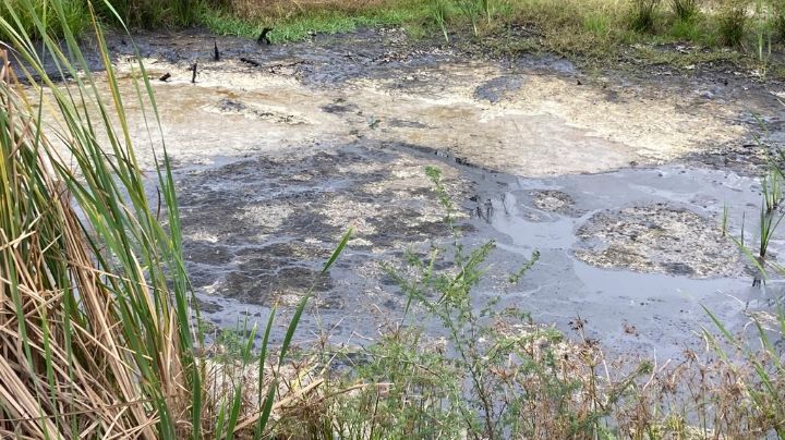 Derrame de crudo en Tamaulipas: PEMEX podría enfrentar sanciones penales por daño ambiental