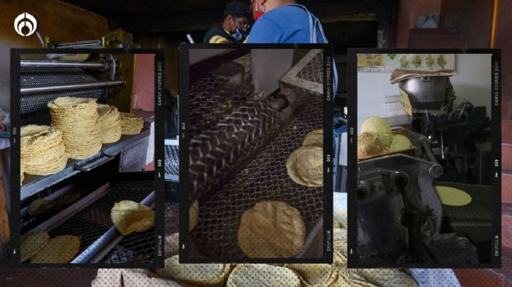 La historia verdadera de quién inventó la máquina de tortillas