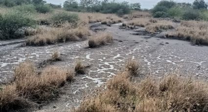 Más derrames y angustia en la siembra: se registra otra fuga de hidrocarburos en Altamira