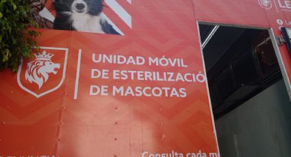 Hospital Público veterinario en León: contara con quirófanos y área de adopción, entre otros