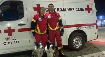 Terremoto en Turquía: Socorristas de la Cruz Roja Querétaro viajan a zona de desastre