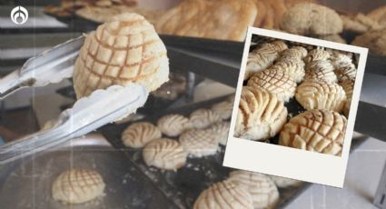 Panes de dulce en México: ¿Por qué se les llama conchas y cuál es su origen?