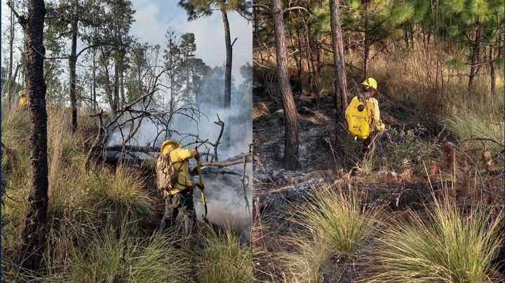 Temporada de Incendios Forestales ¿Dónde hubo conflagraciones este fin de semana?