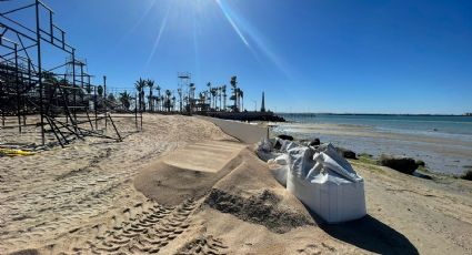 Voleibol en BCS: tortugas golfinas en riesgo por construcción de estadio dicen ambientalistas