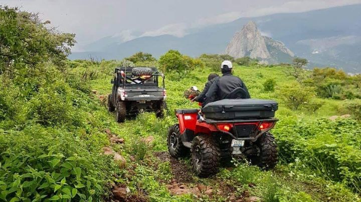 ¿Qué actividades dañan a la Biosfera de la Sierra Gorda y se sancionan con cárcel?