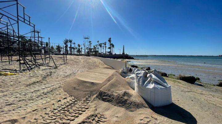 Voleibol en BCS: tortugas golfinas en riesgo por construcción de estadio dicen ambientalistas