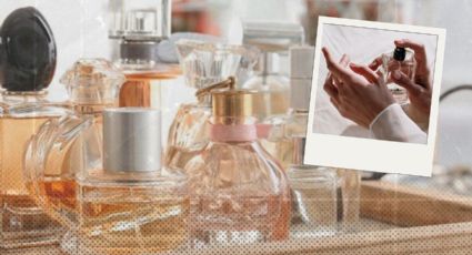 ¿Quieres comprar perfumes de marca? Estas promociones te interesan