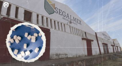 Caso Segalmex: Liberan al funcionario 'machuchón'... y vinculan a proceso a 4 'peces flacos'