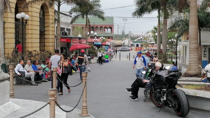 Pobreza en educación vial deriva los muchos problemas en tránsito de Tampico