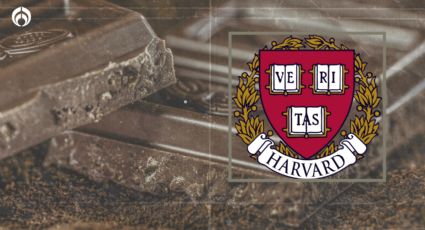 ¿Que el chocolate qué? Estos son sus beneficios para tu memoria, según Harvard