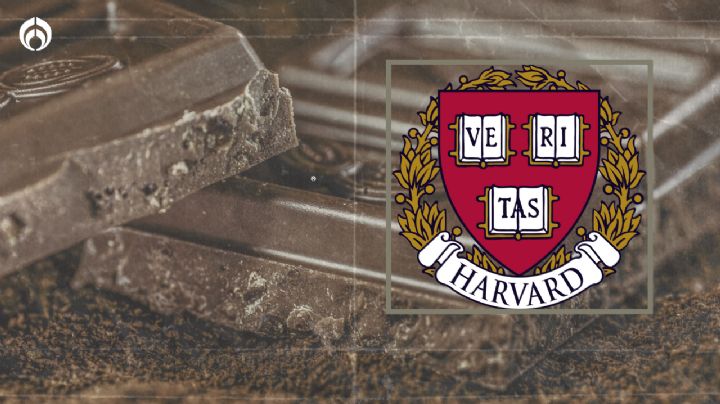 ¿Que el chocolate qué? Estos son sus beneficios para tu memoria, según Harvard