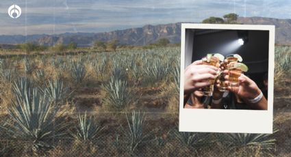 Estas son las 50 mejores bebidas alcohólicas del mundo; el tequila reposado es el primer lugar