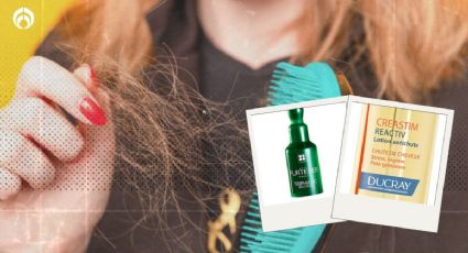 Los tres mejores productos para combatir la caída del cabello, recomendados por expertos