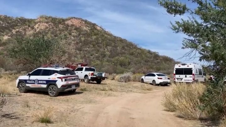 Localizan a hombre colgado de un árbol y  sin vida cerca del cerro de la Virgen