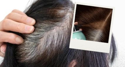 5 formas de tapar las canas sin tinte