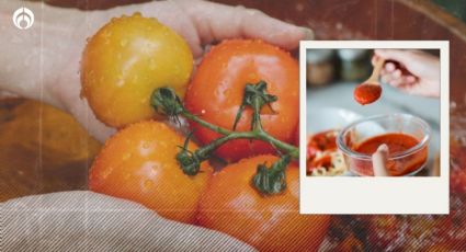 Estos son los mejores purés de tomate para tus recetas, según Profeco