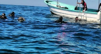 Langosta, pulpo y cangrejo podrían ser capturados como pesca comercial en BCS