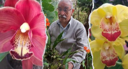 El museo más grande de orquídeas de Latinoamérica para los amantes del turismo de naturaleza