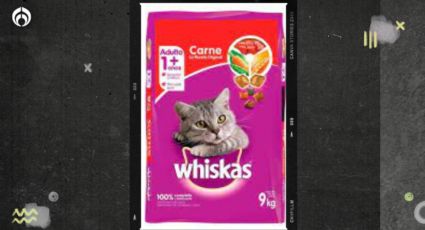 Gatitos: ¿qué tan buenas son las Whiskas? Esto dice Profeco