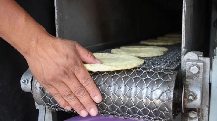 Sigue subiendo el precio de la tortilla en Tampico; clase obrera demanda un alto urgente