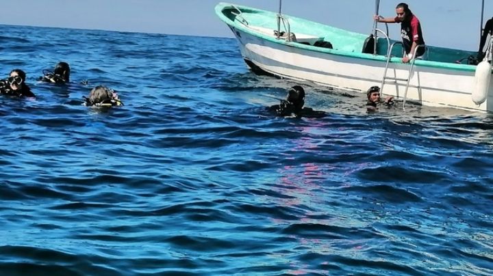 Langosta, pulpo y cangrejo podrían ser capturados como pesca comercial en BCS