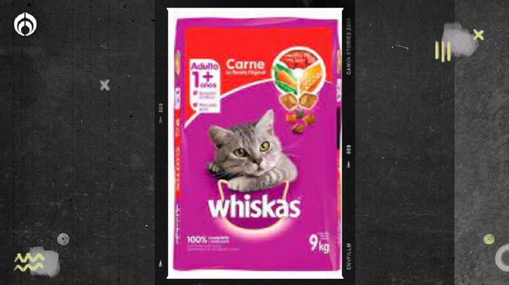 Gatitos: ¿qué tan buenas son las Whiskas? Esto dice Profeco