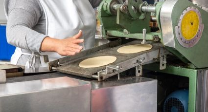 Profeco debe regular la venta de tortilla y exigir venta de kilogramo completo