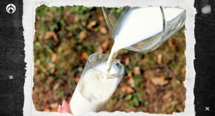 Consumir leche no pasteurizada puede ser dañino para tu salud