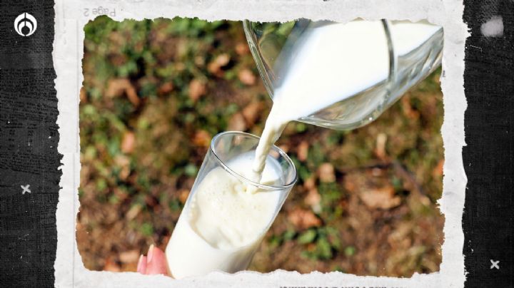 Consumir leche no pasteurizada puede ser dañino para tu salud