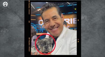 Yordi Rosado: ¿cuánto cuesta el lujoso perrito bulldog francés que carga el presentador?