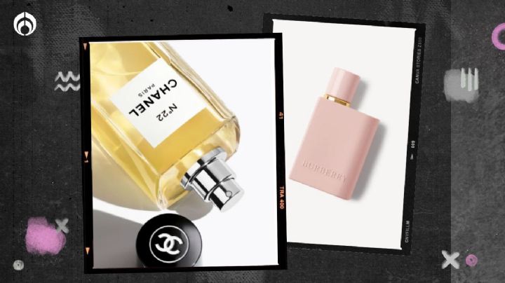 Chanel vs. Burberry: ¿qué perfumes de clase alta son más caros?