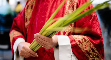 Semana Santa 2023: ¿Cuál es la planta que se usa para el Domingo de Ramos?