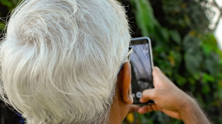 ¿Se puede eliminar las canas para siempre? Expertos responden