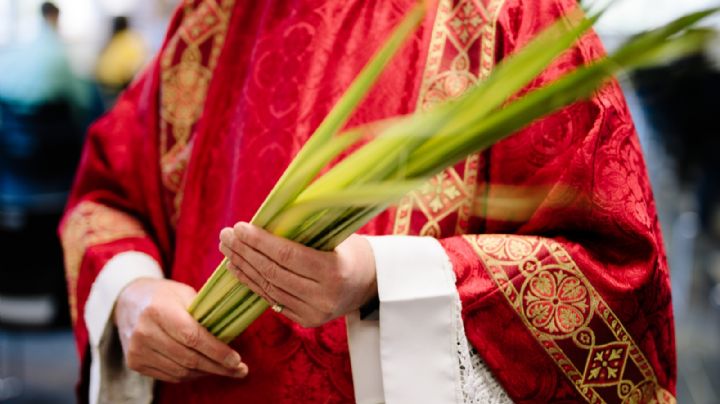 Semana Santa 2023: ¿Cuál es la planta que se usa para el Domingo de Ramos?