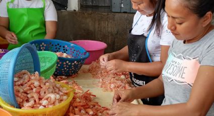 Camarón que no cumple... no vende; clausuran 3 negocios por no cumplir con normas sanitarias