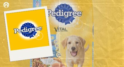 Pedigree: qué tan buena es esta marca de croquetas para perritos, según Profeco