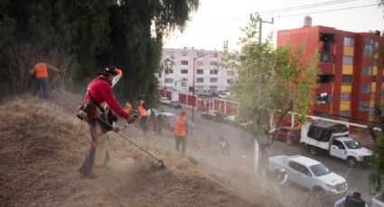 Tlalnepantla recupera más de 16 kilómetros de camellones y áreas verdes