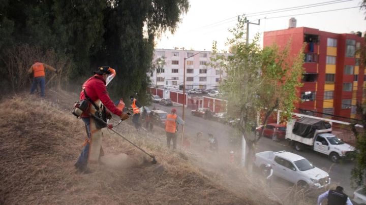 Tlalnepantla recupera más de 16 kilómetros de camellones y áreas verdes