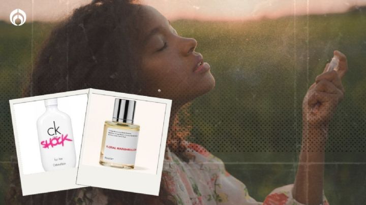 5 marcas de perfumes muy baratas que no conocías y huelen muy rico