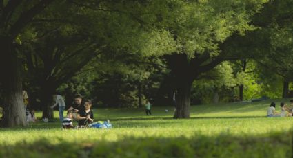 Los 'pulmones' de CDMX: Estas son las colonias más verdes y con más parques de la capital