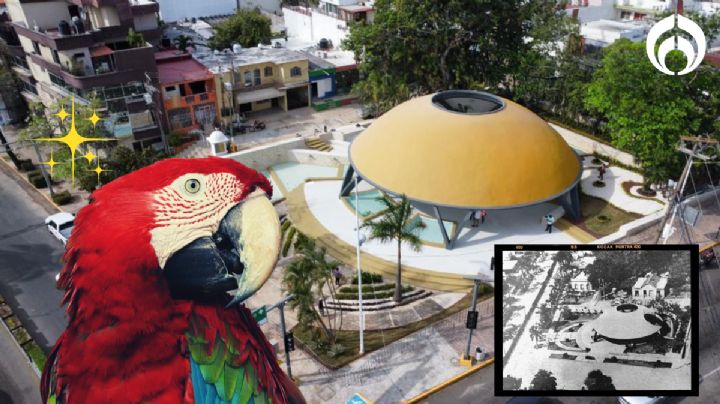 Parque de Los Guacamayos: vuelve al concepto original y su toque japonés único