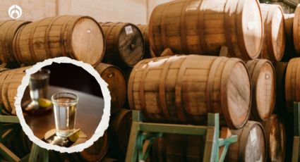 ¿Cuál es la diferencia entre el mezcal joven y el reposado?