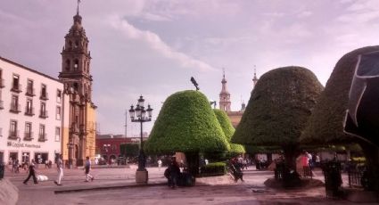 Mejoran iluminación del jardín principal y calles aledañas al centro de León