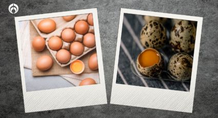 Huevos de codorniz vs. de gallina: ¿Cuáles son más saludables?